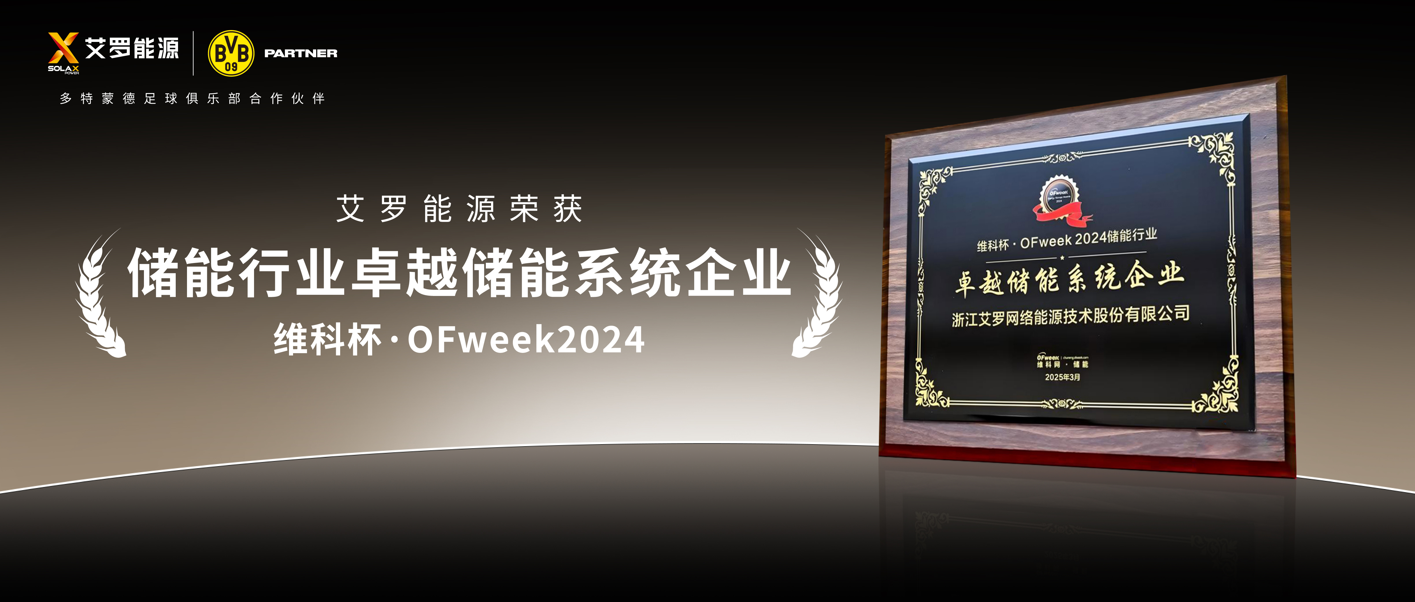 实力见证！凤凰彩票能源荣膺“2024维科杯·卓越储能系统企业”殊荣！